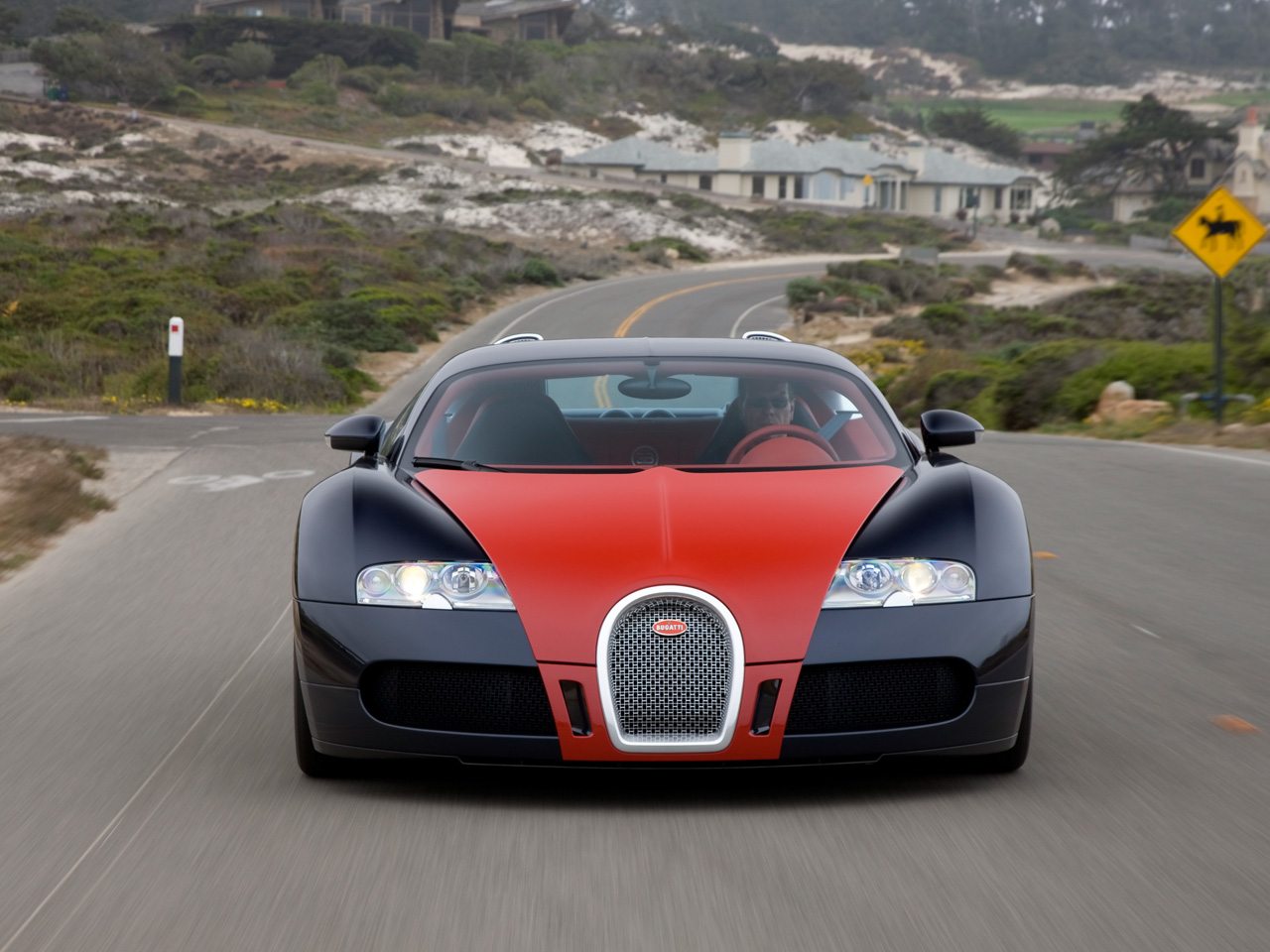 2009 Bugatti Veyron Fbg par Hermes New Colors